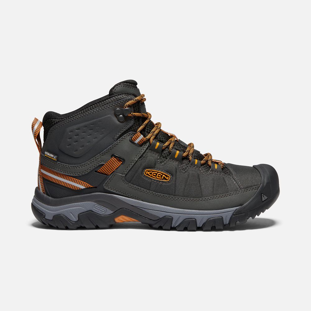 Keen Laarzen Heren Zwart/Goud - Targhee Exp Waterproof Mid - 61804-KBJZ